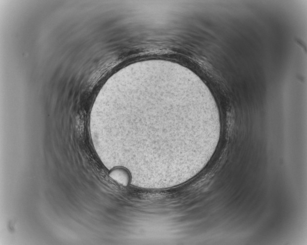 X0000102391257200808291416