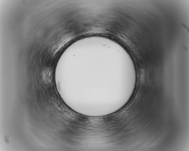 X0000102391258200808291416