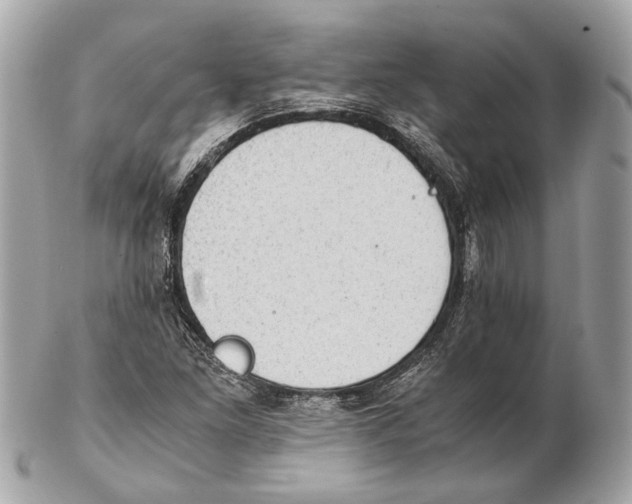 X0000102391261200808291415