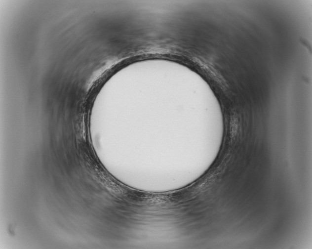 X0000102391262200808291415
