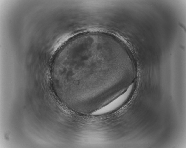 X0000102391263200808291415
