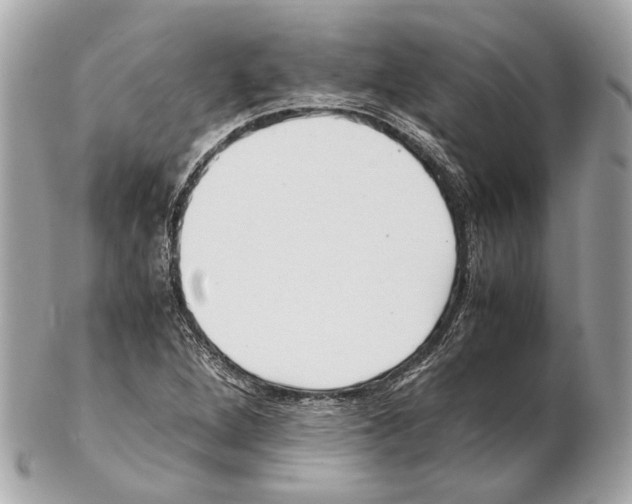 X0000102391264200808291415
