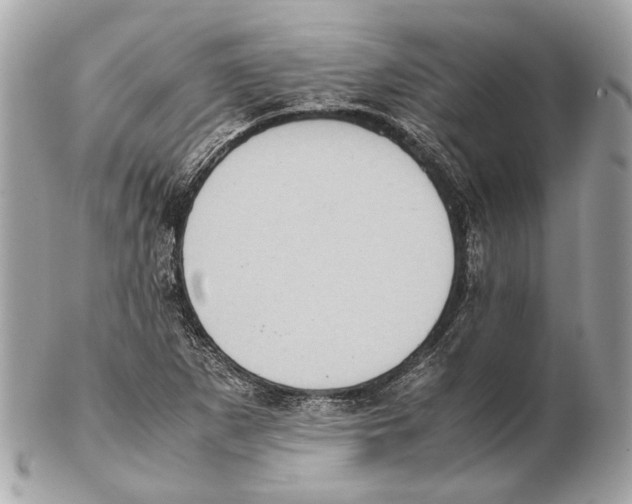 X0000102391265200808291415