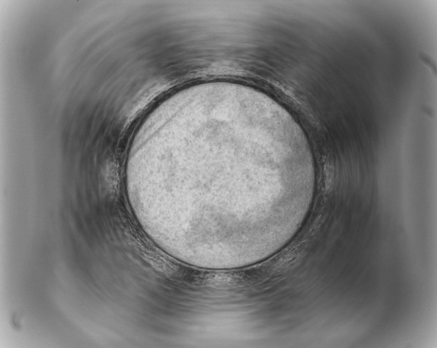 X0000102391266200808291415
