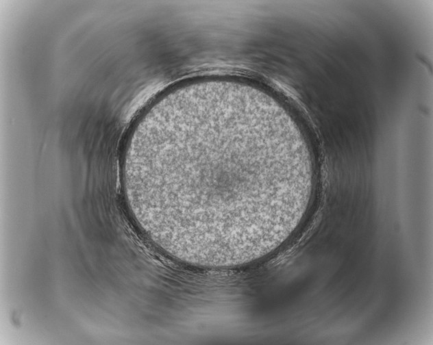 X0000102391267200808291415