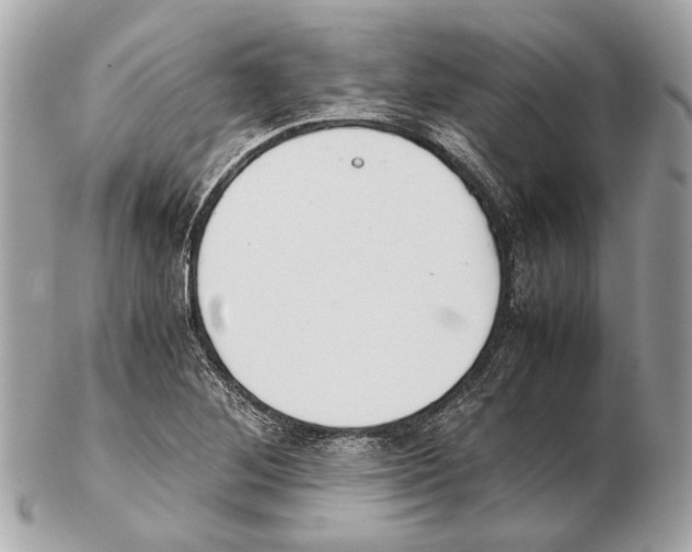 X0000102391268200808291415
