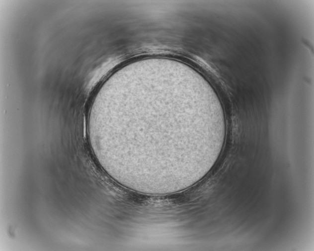 X0000102391269200808291415