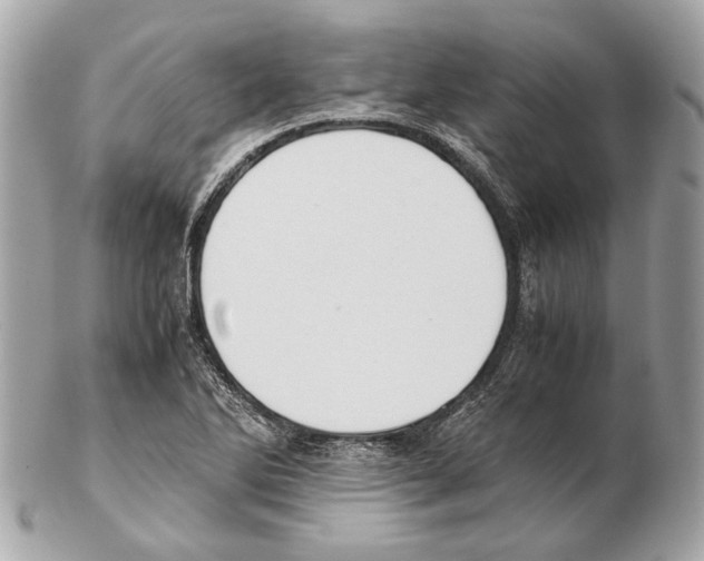 X0000102391270200808291415