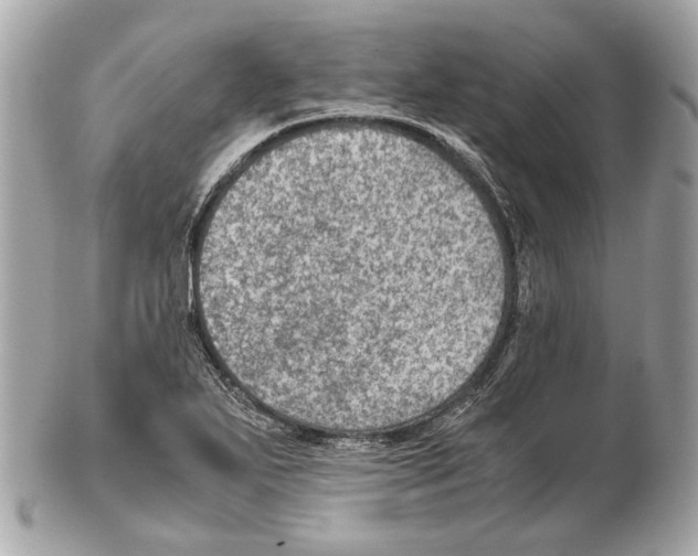 X0000102391271200808291415
