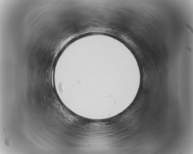 X0000102391272200808291415