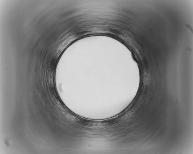 X0000102391273200808291415