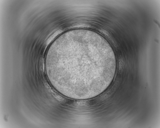 X0000102391274200808291415