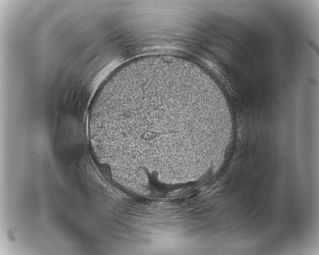 X0000102391275200808291415
