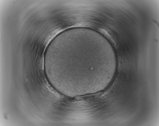 X0000102391276200808291415