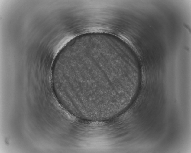 X0000102391277200808291415