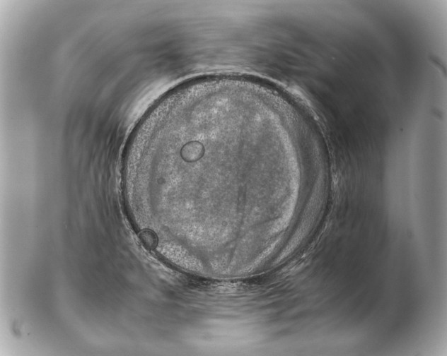 X0000102391279200808291415