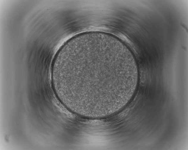 X0000102391280200808291415