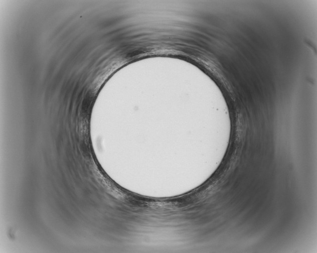 X0000102391281200808291415