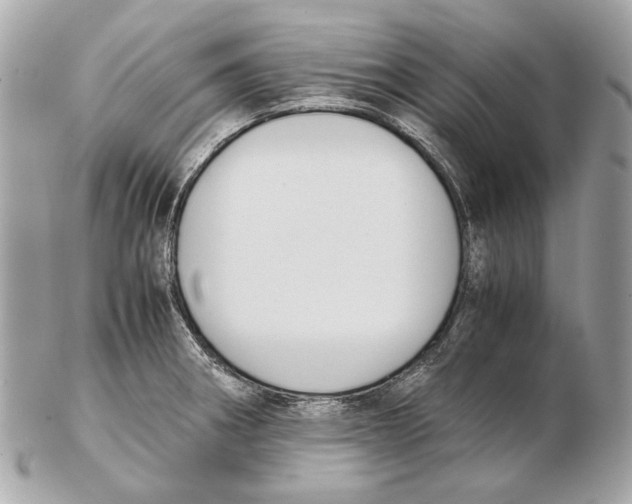X0000102391282200808291415
