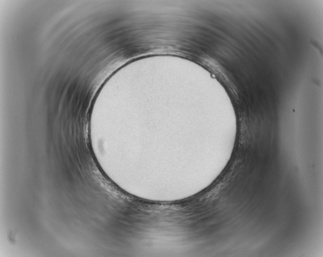 X0000102391284200808291415