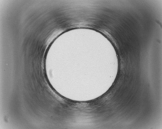 X0000102391285200808291415