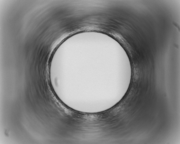 X0000102391286200808291415