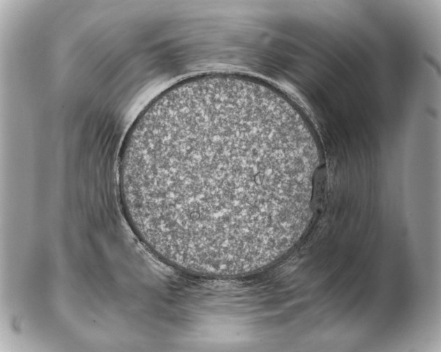 X0000102391287200808291415