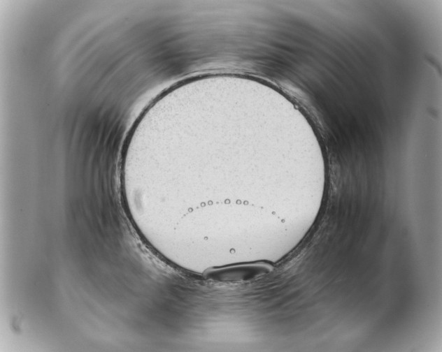 X0000102391288200808291415