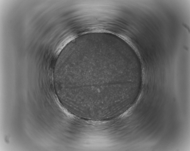 X0000102391289200808291415