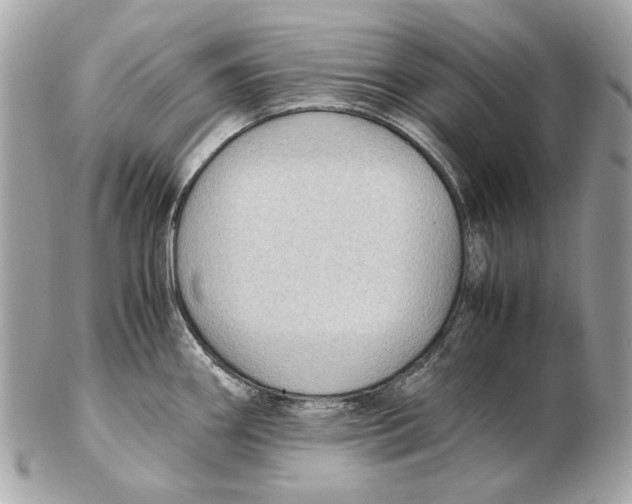 X0000102391290200808291415