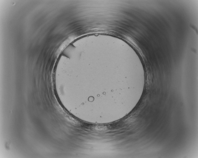 X0000102391291200808291415