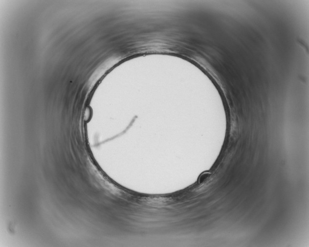 X0000102391293200808291415