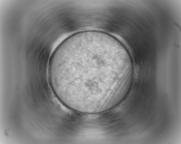 X0000102391294200808291415