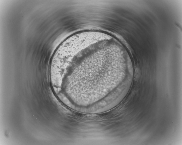 X0000102391295200808291415