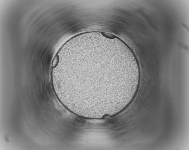 X0000102391296200808291415