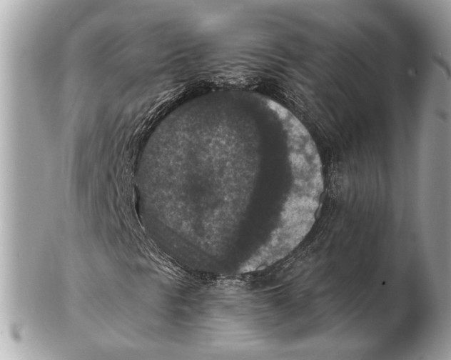X0000102391297200808291414