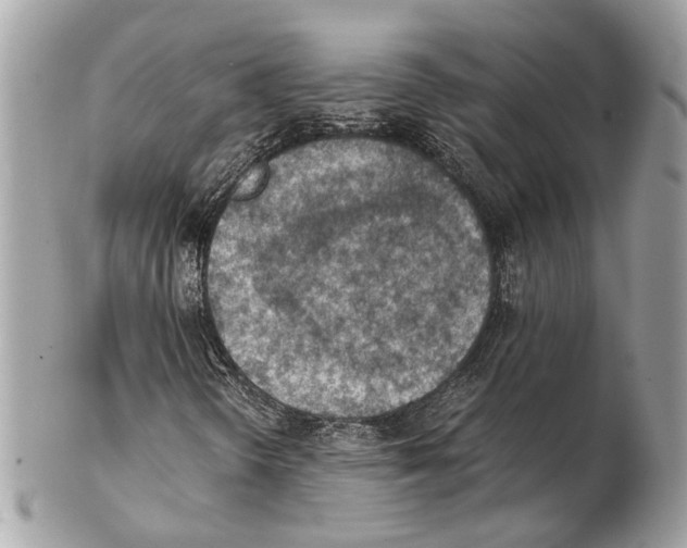 X0000102391298200808291414