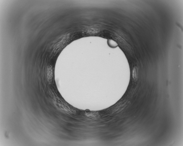 X0000102391299200808291414