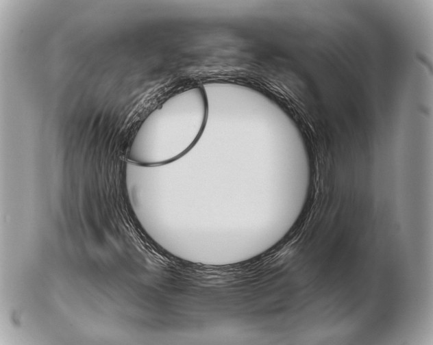 X0000102391300200808291414