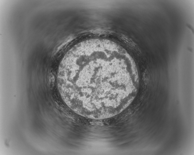 X0000102391302200808291414