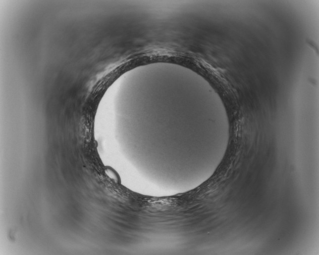 X0000102391303200808291414