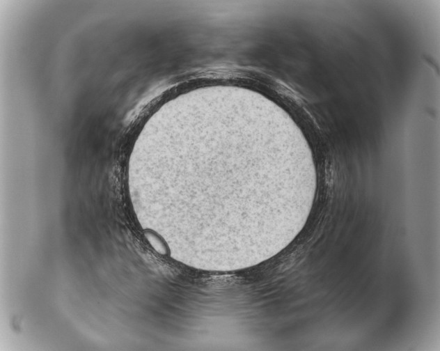 X0000102391304200808291414