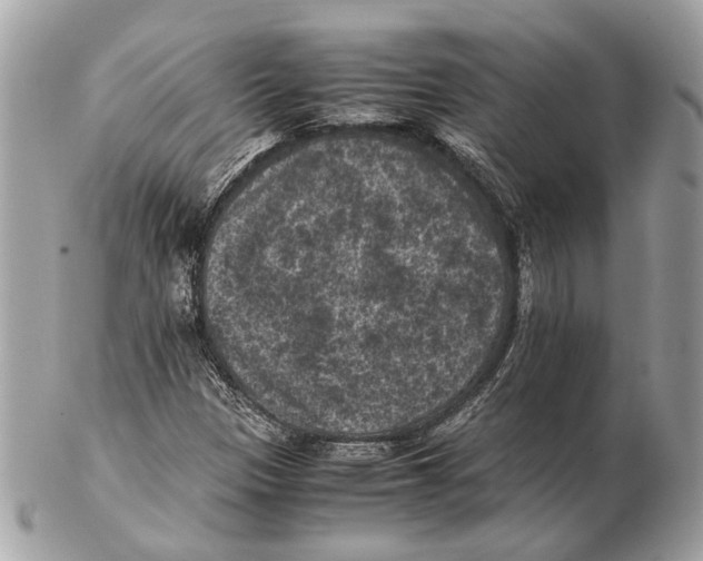 X0000102391305200808291414