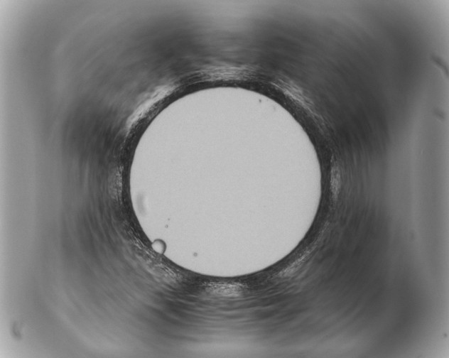 X0000102391309200808291415