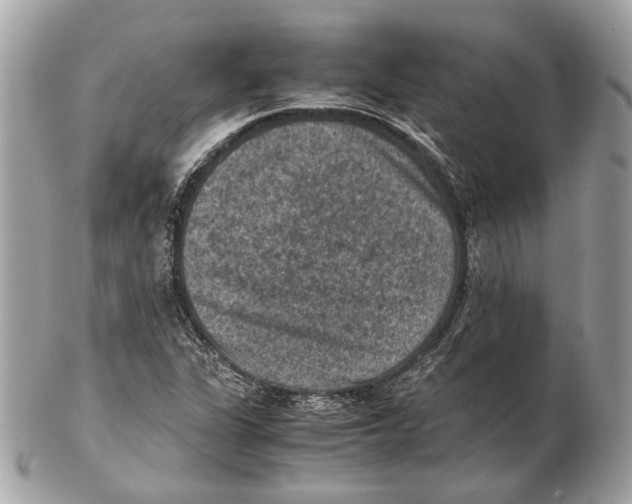 X0000102391311200808291415