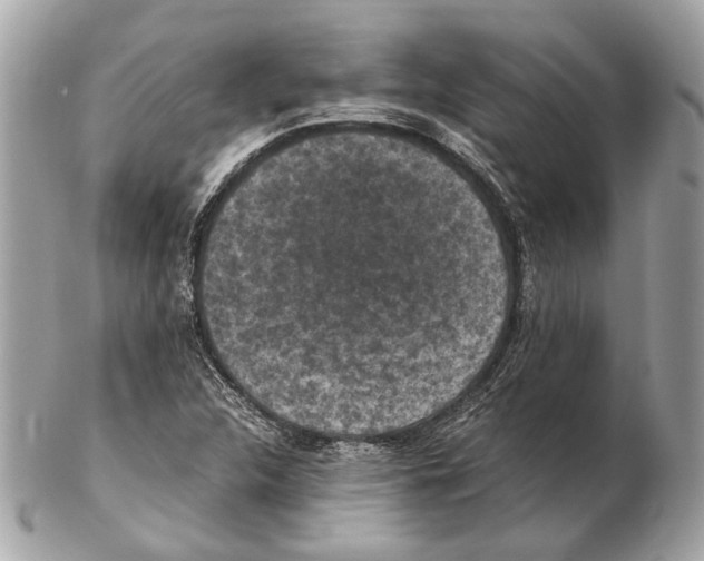 X0000102391312200808291415