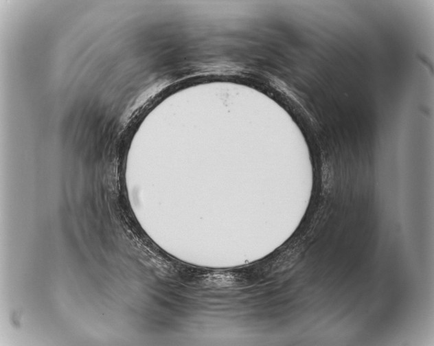 X0000102391315200808291415