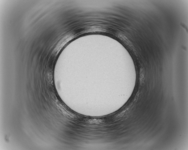 X0000102391321200808291415