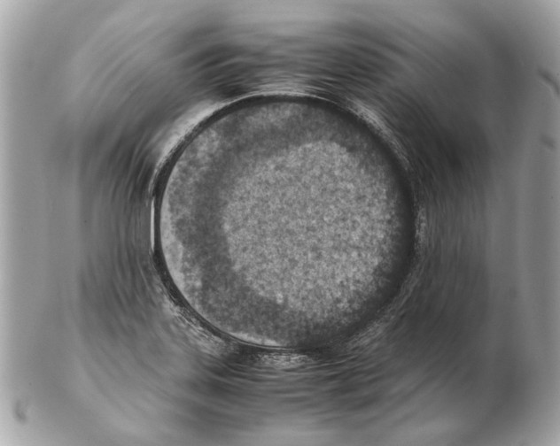 X0000102391323200808291415