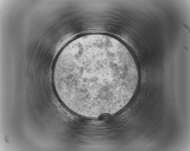 X0000102391325200808291415